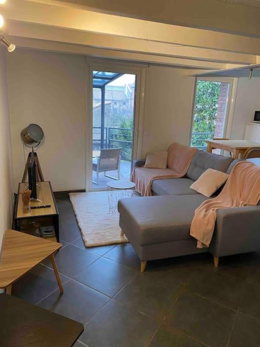Apartment T2 Duplex4 Hyper-centre Climatise Albi