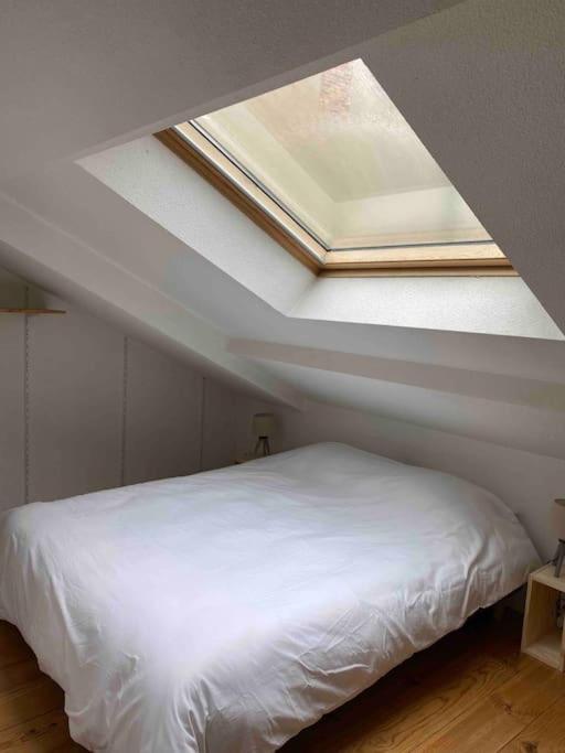 Apartment T2 Duplex4 Hyper-centre Climatise Albi