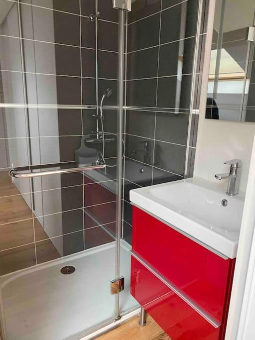 T2 Duplex4 Hyper-centre Climatise * Albi