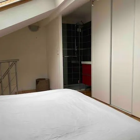 Appartement T2 Duplex4 Hyper-Centre Climatise à Albi Extérieur photo