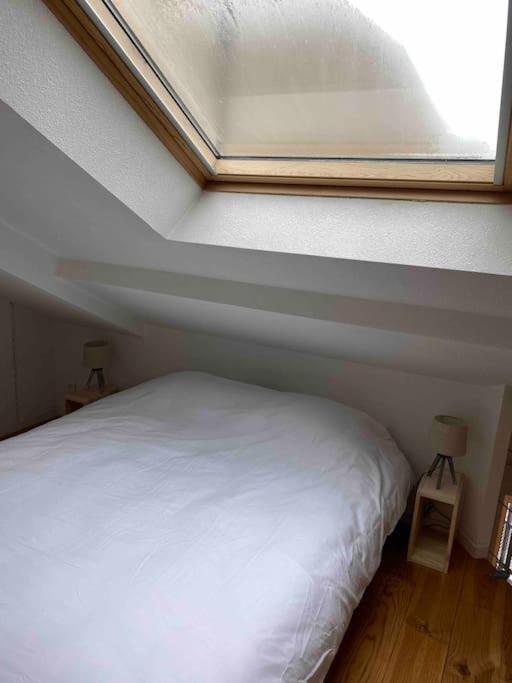 T2 Duplex4 Hyper-centre Climatise * Albi